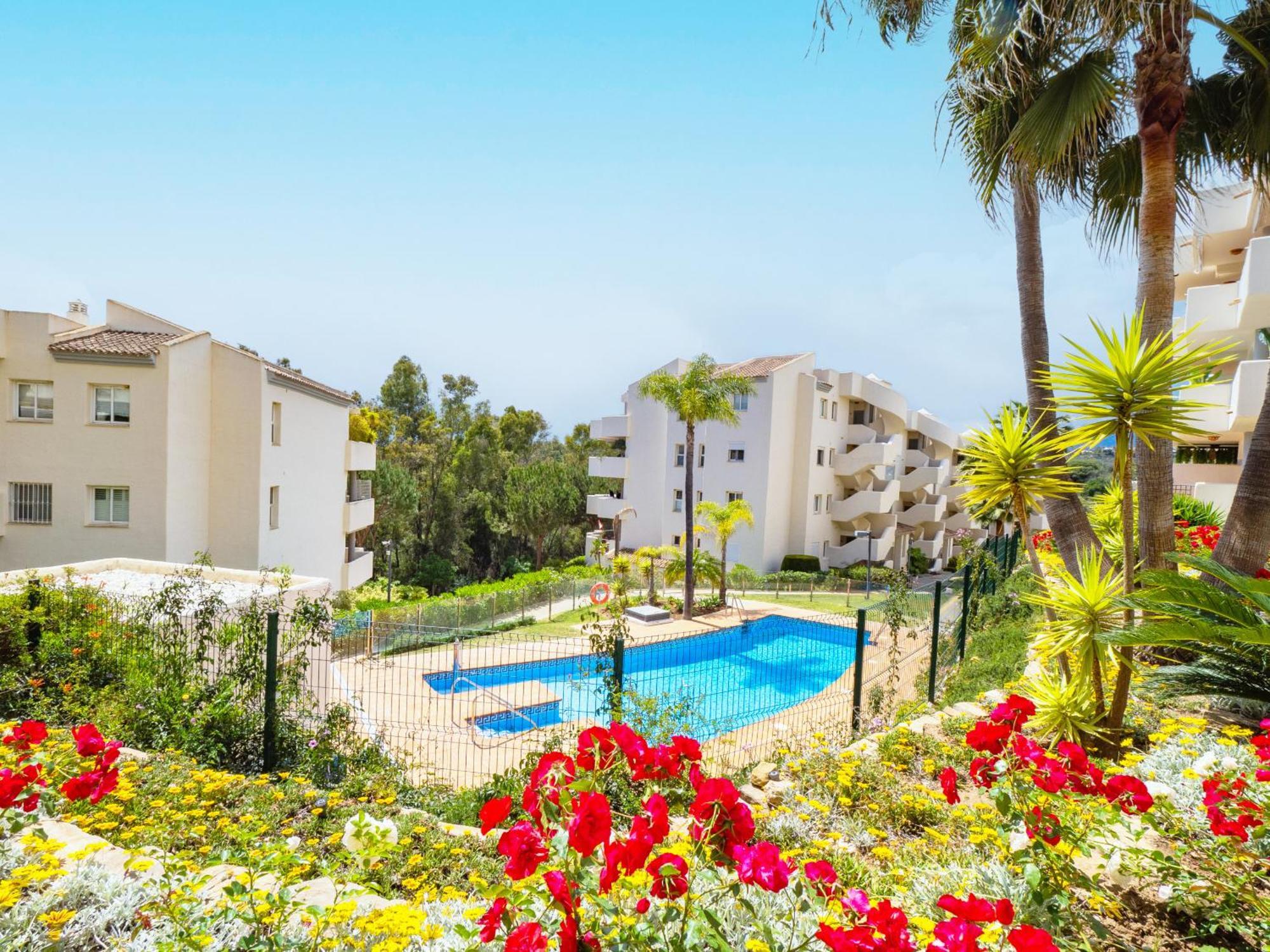 Cubo's Santa Maria Hills 2b